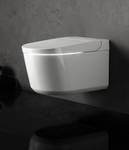 Hvilket toilet skal du v&aelig;lge?