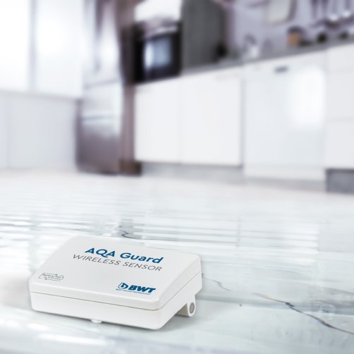 BWT AQA Guard Wireless sensor