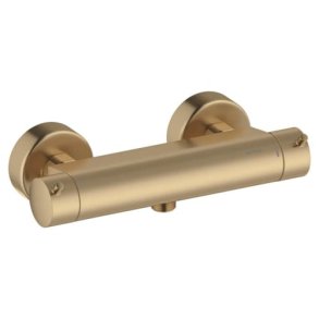 Damixa Iris brusearmatur - Brstet bronze