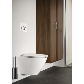 If Spira Art vghngt toilet