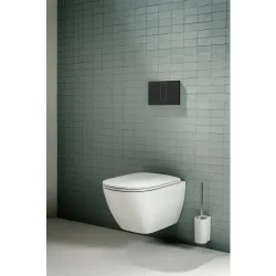 Laufen Lis aw101 betjeningsplade duoskyl. Matsort